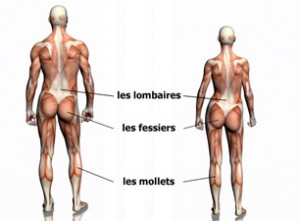 Le Tapis De Course Fait Travailler Quoi