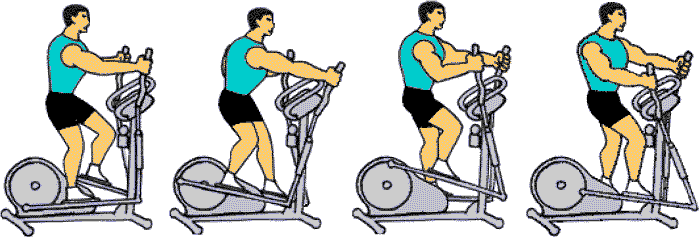 Elliptique Muscler Les Cuisses VÃ©lo Muscles Velo Elliptique Ou