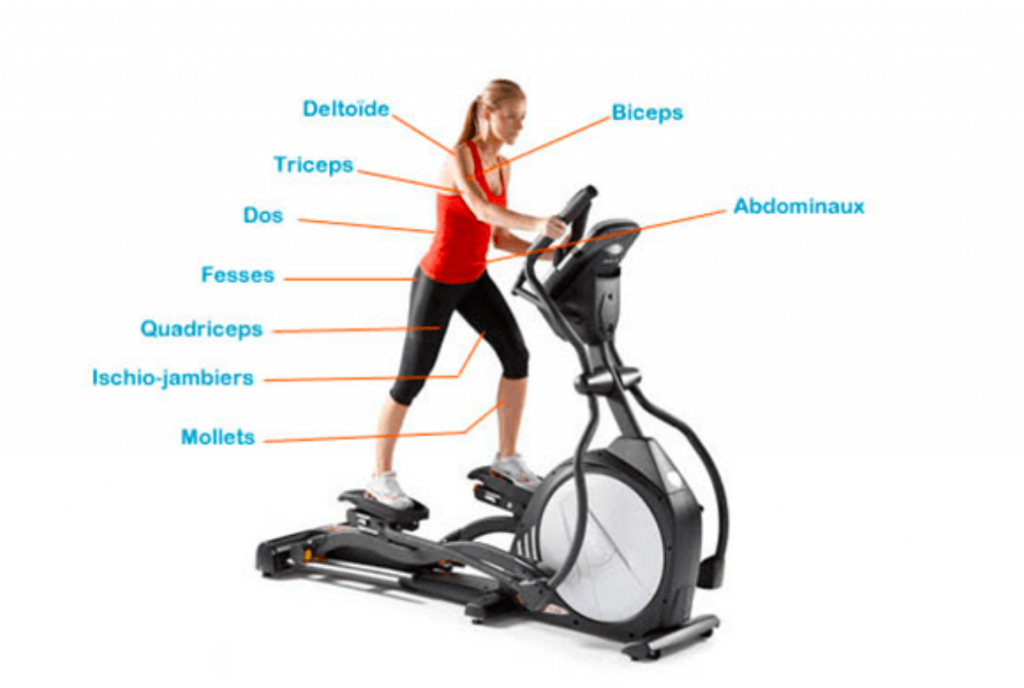 vélo elliptique muscles